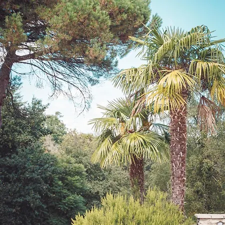 Stylish Rural With Pool Sleeps 14 Guests Holiday home