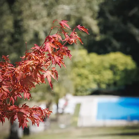 Stylish Rural With Pool Sleeps 14 Guests Holiday home Brossac